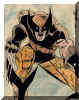 wolverine_87.jpg (318304 bytes)